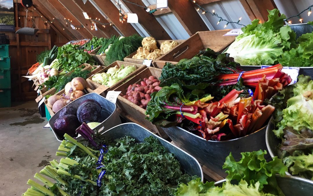 What Does It Mean to Be Nourished?